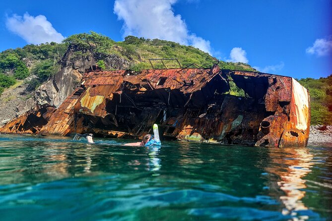 VIP Private Guided Scuba Diving/Snorkeling Excursion - What the Four Hours Feel Like