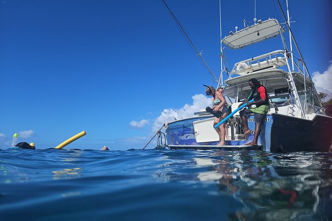 VIP Private Guided Scuba Diving/Snorkeling Excursion - Why the Private Format Matters