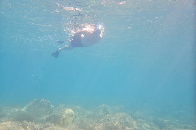 VIP Private Guided Scuba Diving/Snorkeling Excursion - Who Will Get the Most From This Trip?