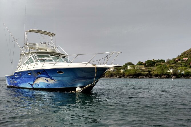 VIP Private Guided Scuba Diving/Snorkeling Excursion - Practical Questions to Ask Before Departure