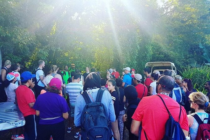 Volcano Caldera (Mt. Liamuiga) Trek / Hike - Starting at Newton Ground and getting your bearings