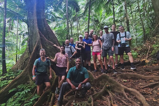 Volcano Caldera (Mt. Liamuiga) Trek / Hike - The crater rim and the views over the Caribbean