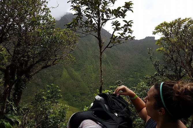 Volcano Crater Hiking Tour in St Kitts - What the hardest parts feel like