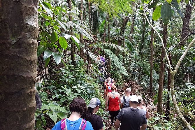 Volcano Crater Hiking Tour in St Kitts - The summit views and picnic stop