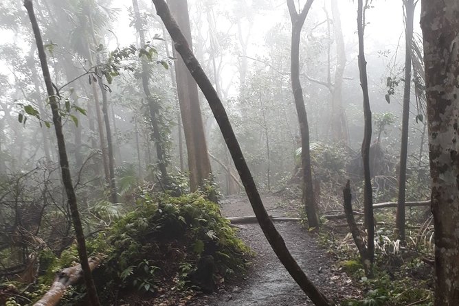 Volcano Crater Hiking Tour in St Kitts - Practical preparation for Mount Liamuiga