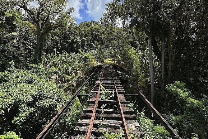 Wingfield Rainforest Adventure Hike and Caribelle Batik stop - The wider Basseterre and island tour element