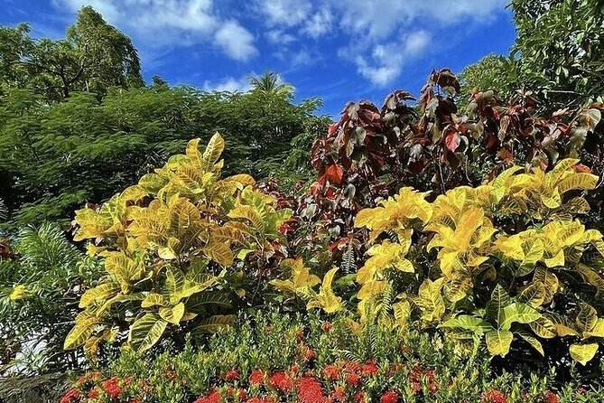 Wingfield Rainforest Adventure Hike and Caribelle Batik stop - Caribelle Batik brings craft into the picture
