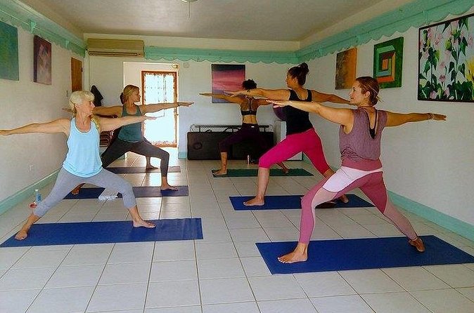 Yoga and Meditation, Group or Private Sessions in Nevis - Equipment, Fitness, and Comfort