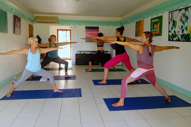 Yoga and Meditation, Group or Private Sessions in Nevis - Booking and Cancellation Details
